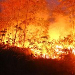 Hujan Turun, Jumlah Hot Spot Berkurang