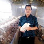 Jamur Tiram Jadi Primadona Kecamatan Cisarua