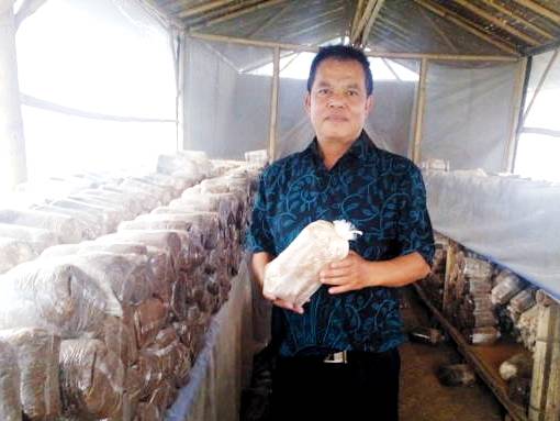Jamur Tiram Jadi Primadona Kecamatan Cisarua
