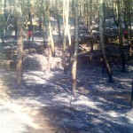 Hutan Manglayang Terbakar