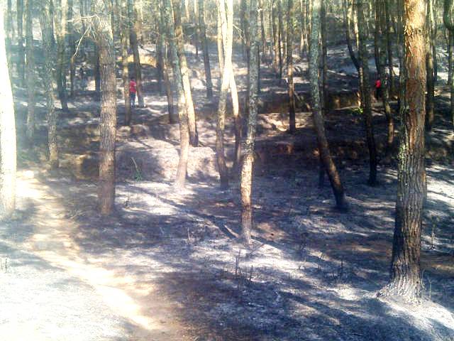 Hutan Manglayang Terbakar