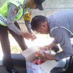 Miras KEmas Teh Pucuk