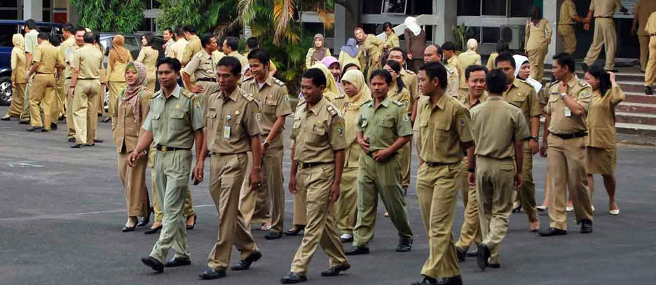 Jangan Tertipu! Dipastikan Tak Ada Penerimaan CPNS