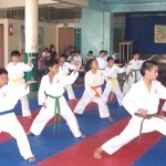 Karateka Junior