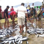 Realisasi Kredit Kelautan