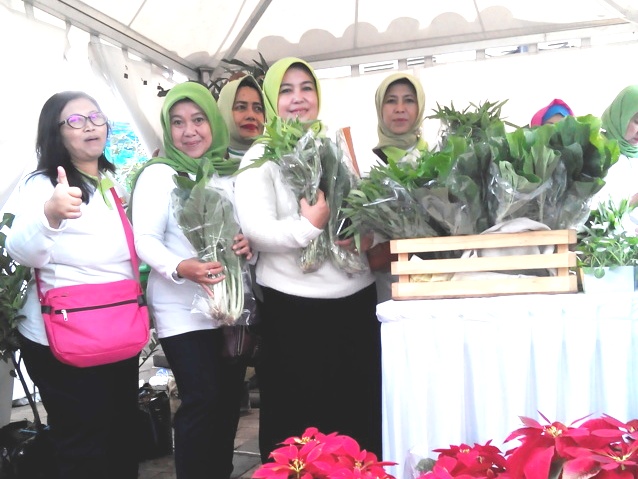 Beri Pelatihan Urban Farming urban farming