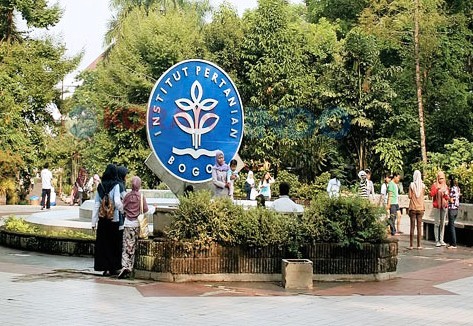 Mahasiswa IPB Hepatitis Massal Kampus IPB