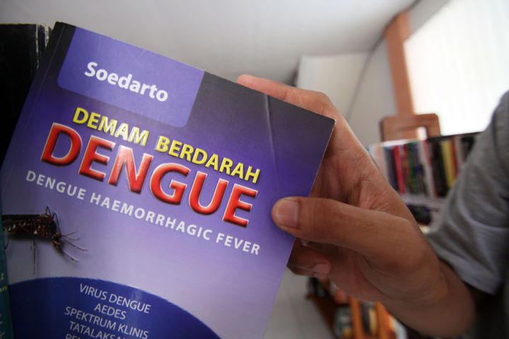 Ratusan Pasien Terjangkit DBD DBD