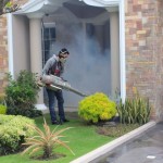 fogging
