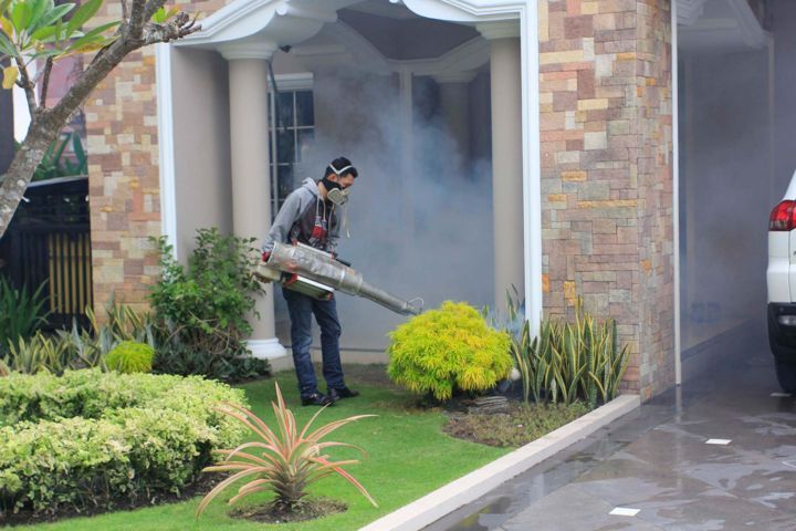 Kasus DBD Masih Tinggi fogging