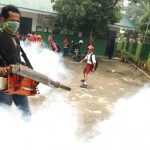 DBD