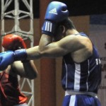 Kejuaraan Tinju Dunia