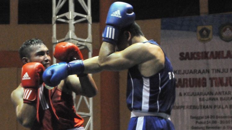 Kejuaraan Tinju Dunia