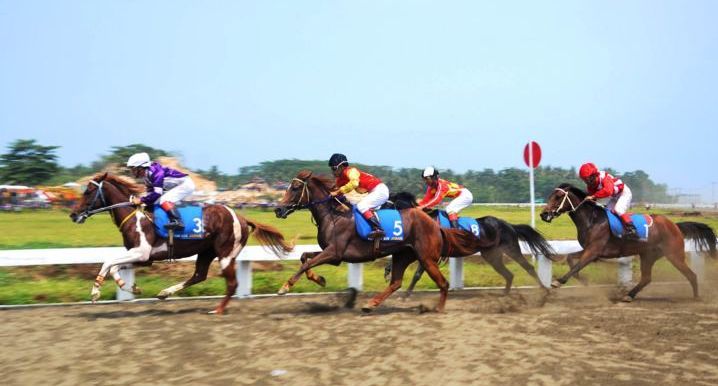 Ratusan Kuda Bertanding