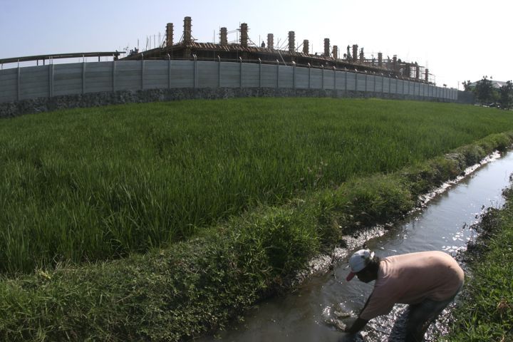 Area Pesawahan Cimahi Sudah Hampir Habis Alih Fungsi Lahan