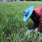 Transaksi jual beli tanah di wilayah Kabupaten Bandung Barat