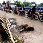 Ada 40 Jembatan Sepanjang Citarum Yang Dikelola BBWS