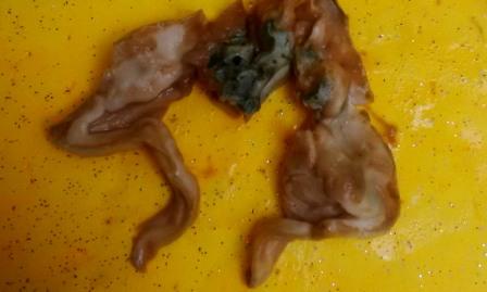 Bantah Susunya Bocor, PT Ultrajaya Klarifikasi Pemberitaan