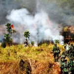 Gunung-Kayangan-Terbakar