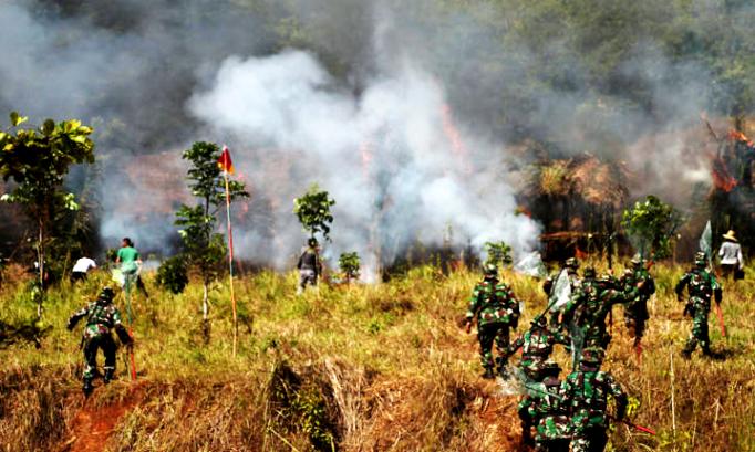 Gunung-Kayangan-Terbakar