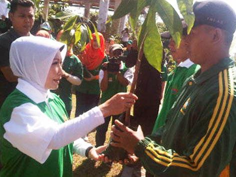 KLH Cimahi Galakkan Pembibitan Tanaman Keras KLH Cimahi