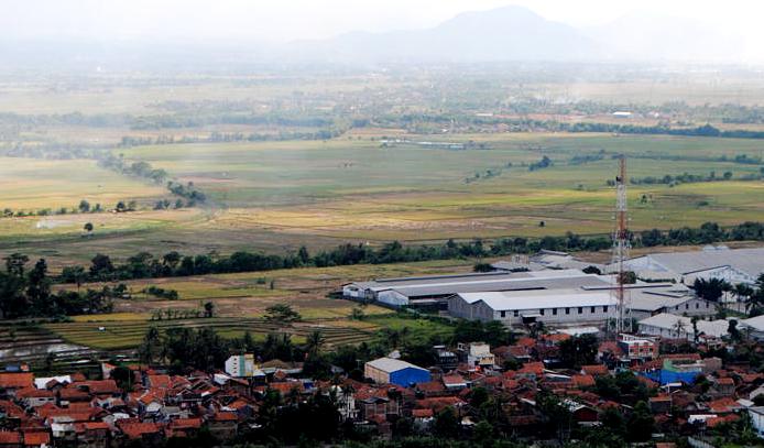 Lahan Persawahan Semakin Menyusut