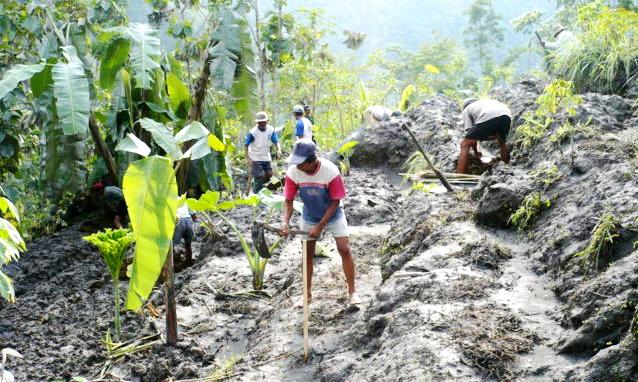 Penanganan Lahan Kritis