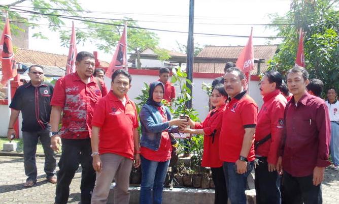 hut 43 pdip tananm pohon