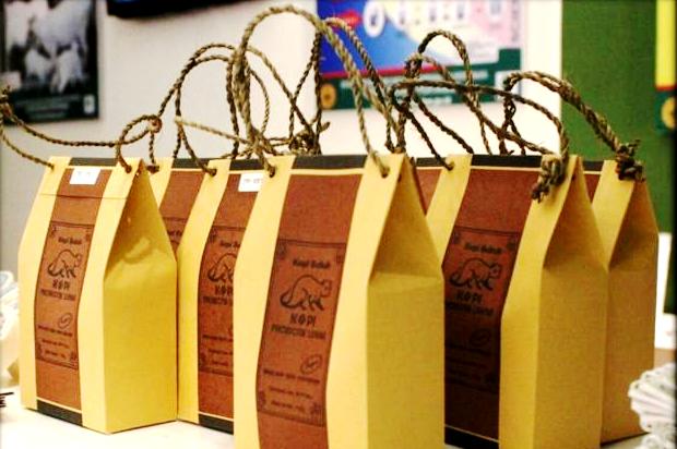 kopi luwak prebiotik Guntoro