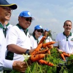 Kelompok Tani Katata Dapat Mesin Peeling dan Dua Unit Rain Shelter CSR BI