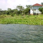 saguling