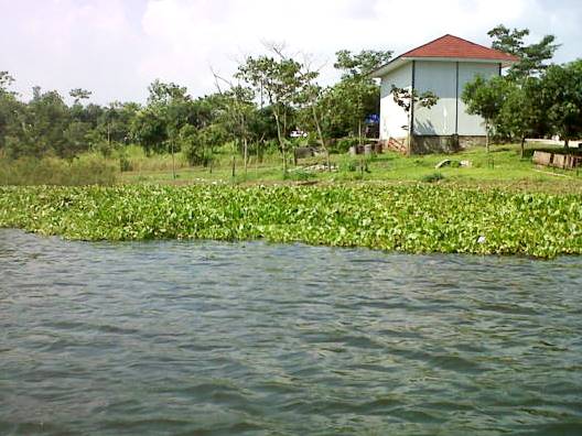 saguling