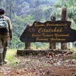 Gunung Halimun Jadi Panggung Festival Music Eco Camp