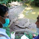 Pemeriksaan Kesehatan Hewan Koleksi Kebun Bintang Bandung
