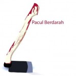 Pembunuh Eno Fahira Siswa SMP