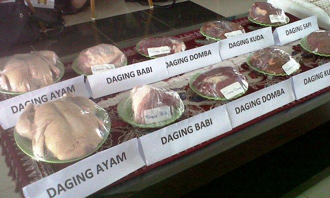 daging-sapi