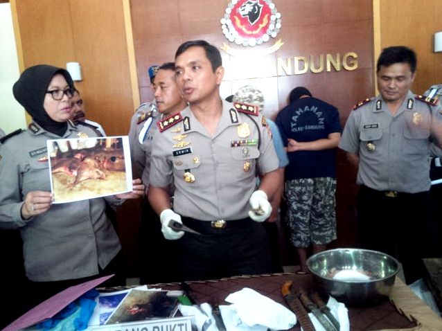 kasus daging babi