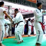 tarung derajat