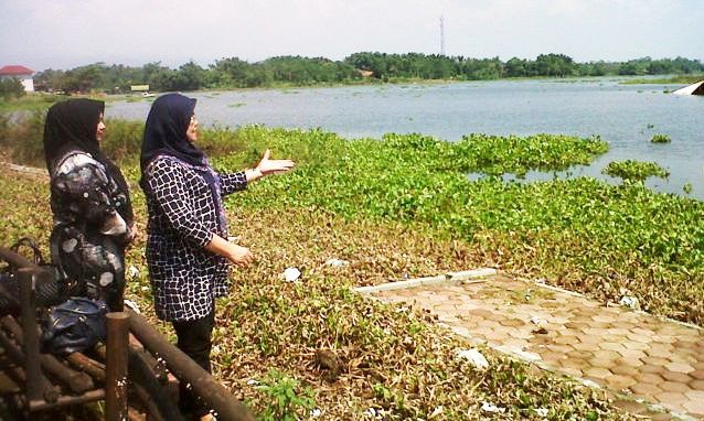 Eceng Gondok Ganggu Venue Ski Air, PB PON KBB Harus Berbenah venue ski air -