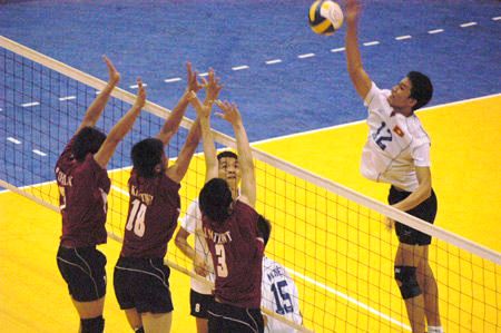 Bulan Depan Tim Inti Bola Voli Indoor Putra Terbentuk Bulan Depan Tim Inti Bola Voli Indoor Putra Terbentuk