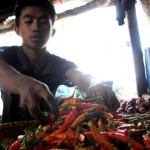 Harga Cabai Bertahan Tinggi Harga Cabai