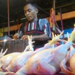 Pedagang Daging Ayam Marema