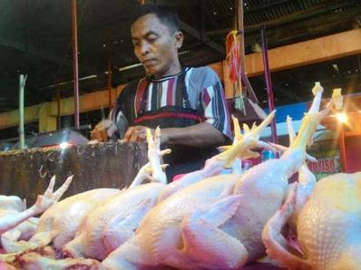 Pedagang Daging Ayam Marema