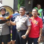 Sabung AYam