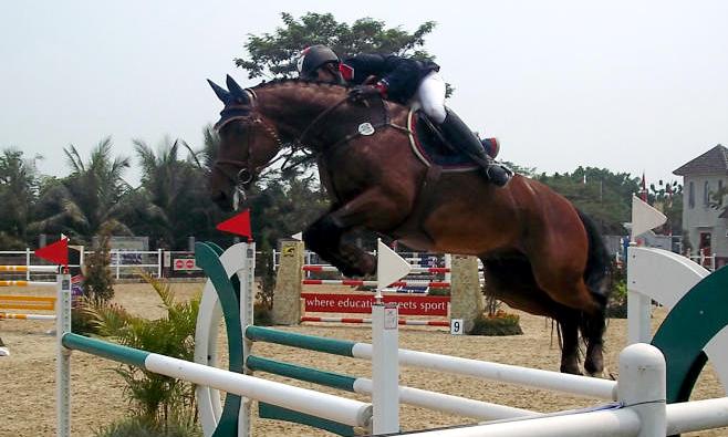 Mengejar Medali Emas di Nomor Pacu berkuda-PON -