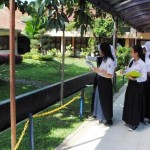 PLS-sman8