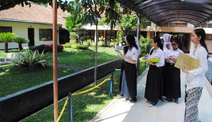 PLS-sman8