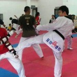 Taekwondo-jabar