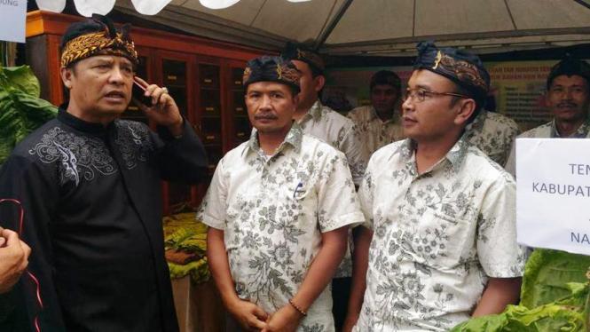 Petani Tembakau Terus Eksis Walau Terkendala Cuaca Petani Tembakau Terus Eksis Walau Terkendala Cuaca
