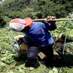 Sayuran Kabupaten Bandung Berkontribusi 40 Persen bagi Jabar